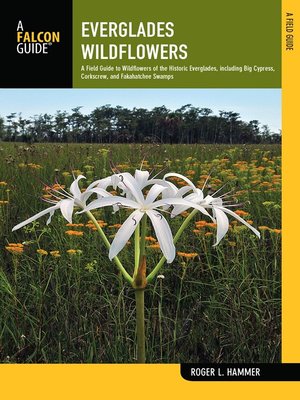 cover image of Everglades Wildflowers